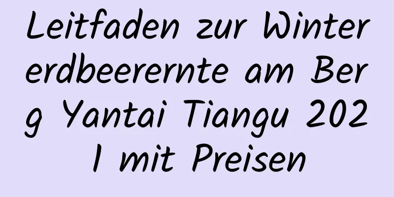 Leitfaden zur Wintererdbeerernte am Berg Yantai Tiangu 2021 mit Preisen