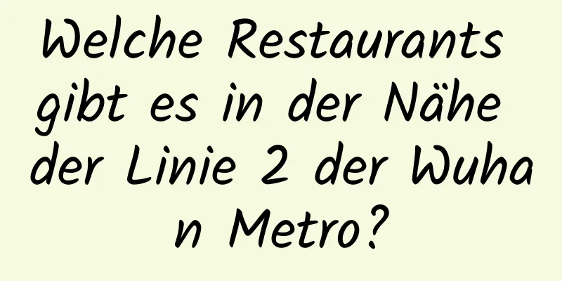 Welche Restaurants gibt es in der Nähe der Linie 2 der Wuhan Metro?