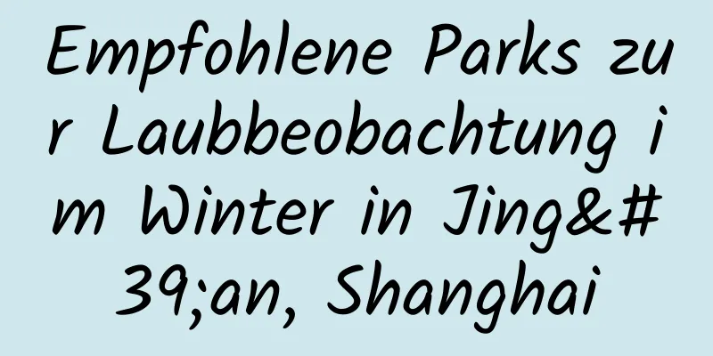 Empfohlene Parks zur Laubbeobachtung im Winter in Jing'an, Shanghai