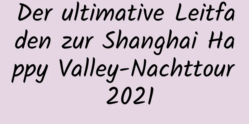 Der ultimative Leitfaden zur Shanghai Happy Valley-Nachttour 2021