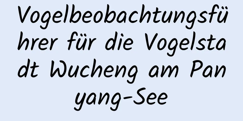 Vogelbeobachtungsführer für die Vogelstadt Wucheng am Panyang-See