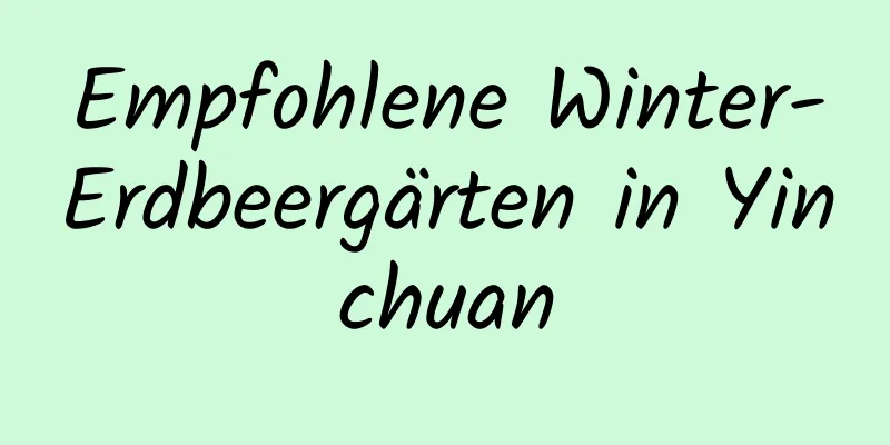 Empfohlene Winter-Erdbeergärten in Yinchuan