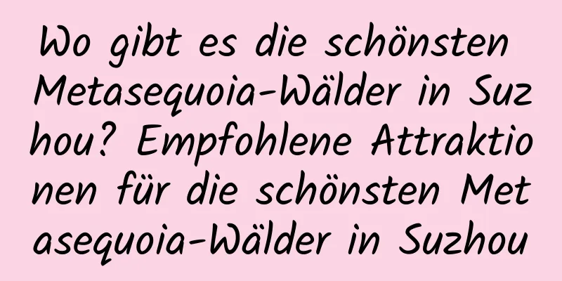 Wo gibt es die schönsten Metasequoia-Wälder in Suzhou? Empfohlene Attraktionen für die schönsten Metasequoia-Wälder in Suzhou