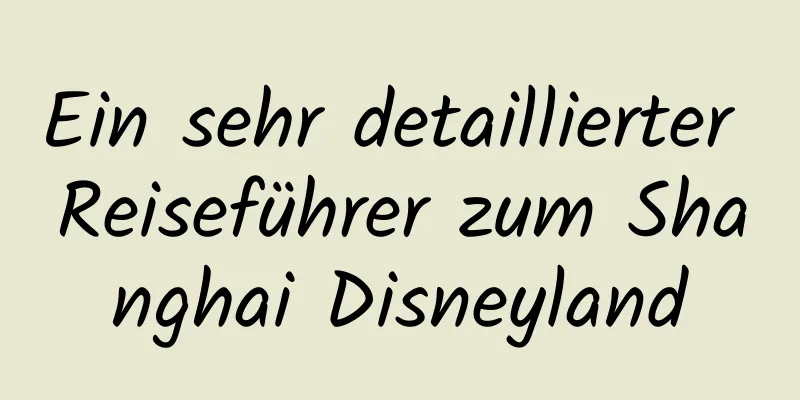 Ein sehr detaillierter Reiseführer zum Shanghai Disneyland