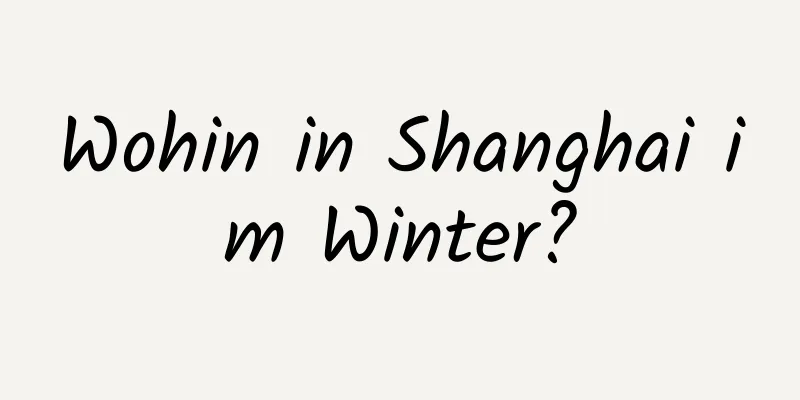 Wohin in Shanghai im Winter?