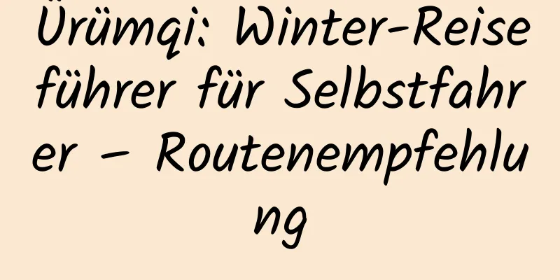 Ürümqi: Winter-Reiseführer für Selbstfahrer – Routenempfehlung