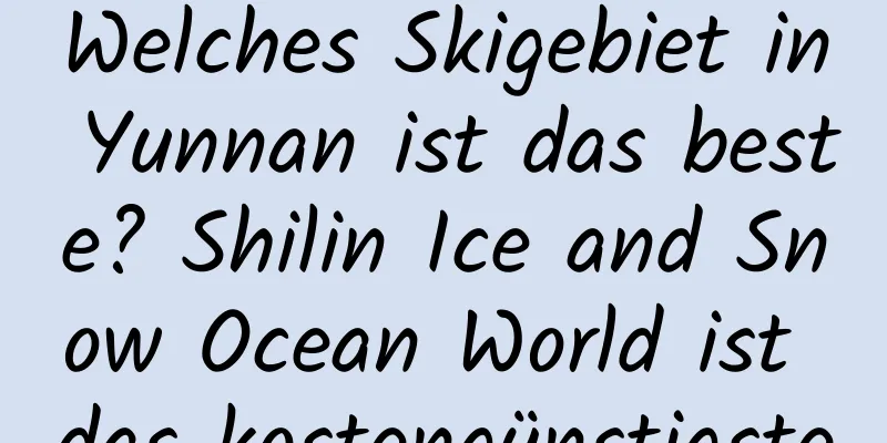 Welches Skigebiet in Yunnan ist das beste? Shilin Ice and Snow Ocean World ist das kostengünstigste