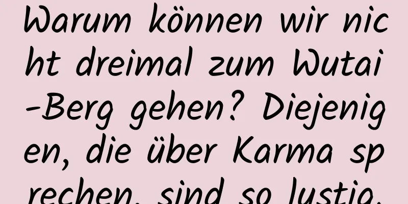 Warum können wir nicht dreimal zum Wutai-Berg gehen? Diejenigen, die über Karma sprechen, sind so lustig.