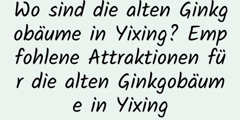 Wo sind die alten Ginkgobäume in Yixing? Empfohlene Attraktionen für die alten Ginkgobäume in Yixing