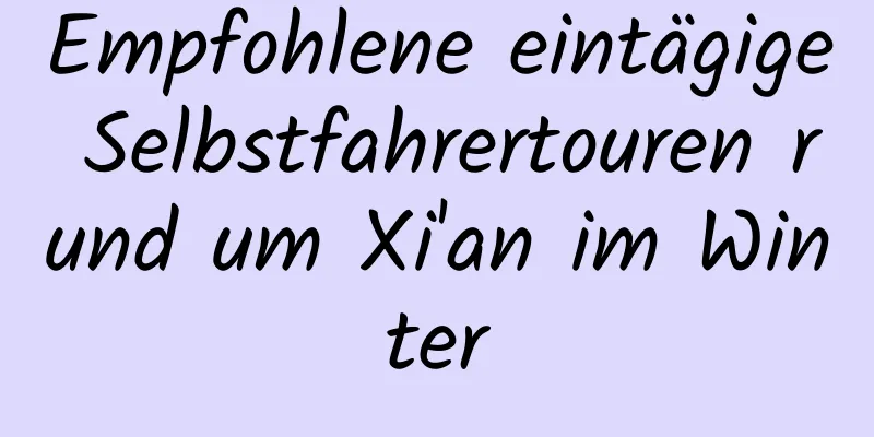 Empfohlene eintägige Selbstfahrertouren rund um Xi'an im Winter