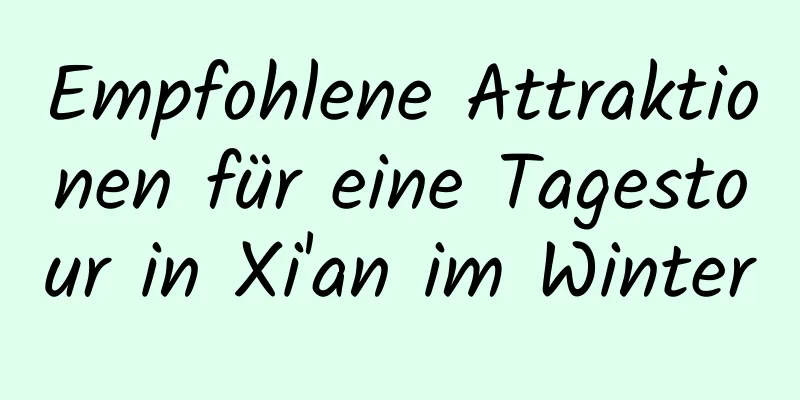 Empfohlene Attraktionen für eine Tagestour in Xi'an im Winter