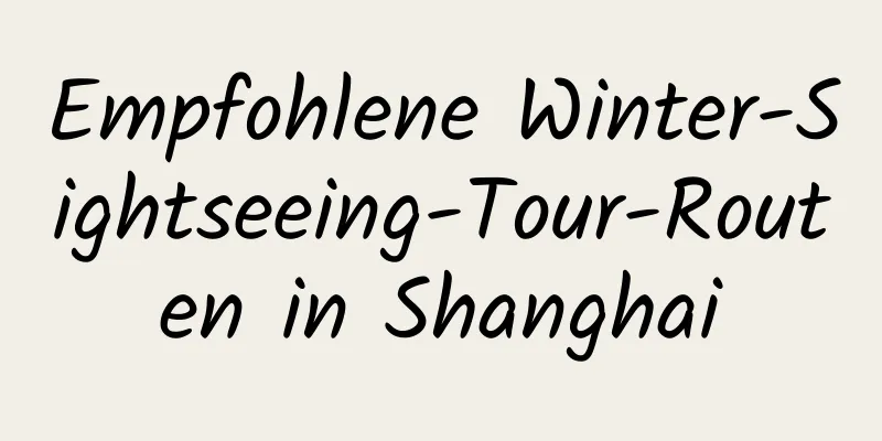 Empfohlene Winter-Sightseeing-Tour-Routen in Shanghai