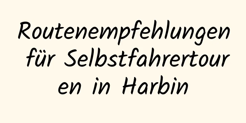 Routenempfehlungen für Selbstfahrertouren in Harbin