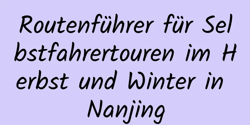 Routenführer für Selbstfahrertouren im Herbst und Winter in Nanjing