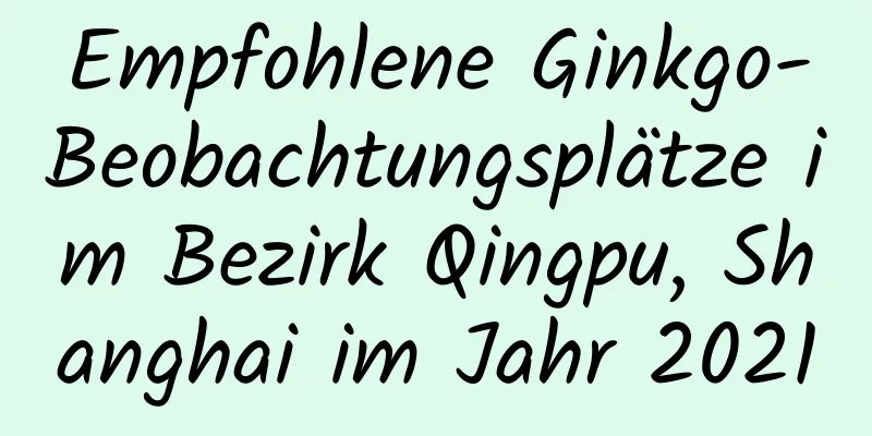 Empfohlene Ginkgo-Beobachtungsplätze im Bezirk Qingpu, Shanghai im Jahr 2021