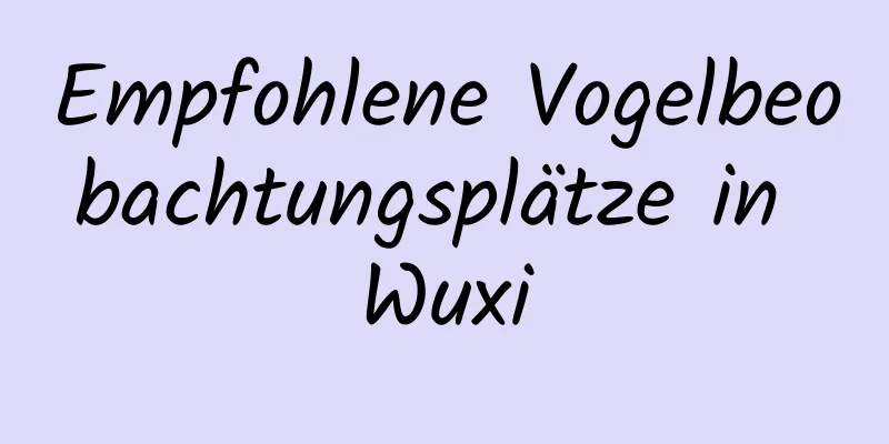 Empfohlene Vogelbeobachtungsplätze in Wuxi