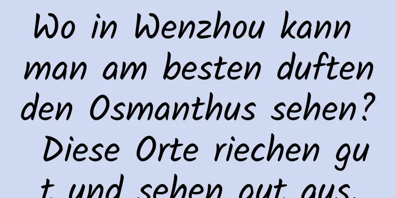 Wo in Wenzhou kann man am besten duftenden Osmanthus sehen? Diese Orte riechen gut und sehen gut aus.