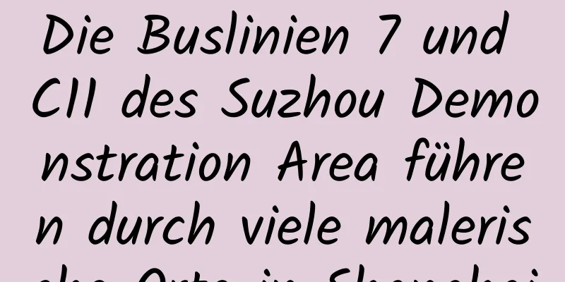 Die Buslinien 7 und C11 des Suzhou Demonstration Area führen durch viele malerische Orte in Shanghai