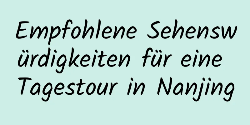 Empfohlene Sehenswürdigkeiten für eine Tagestour in Nanjing