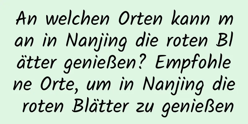 An welchen Orten kann man in Nanjing die roten Blätter genießen? Empfohlene Orte, um in Nanjing die roten Blätter zu genießen