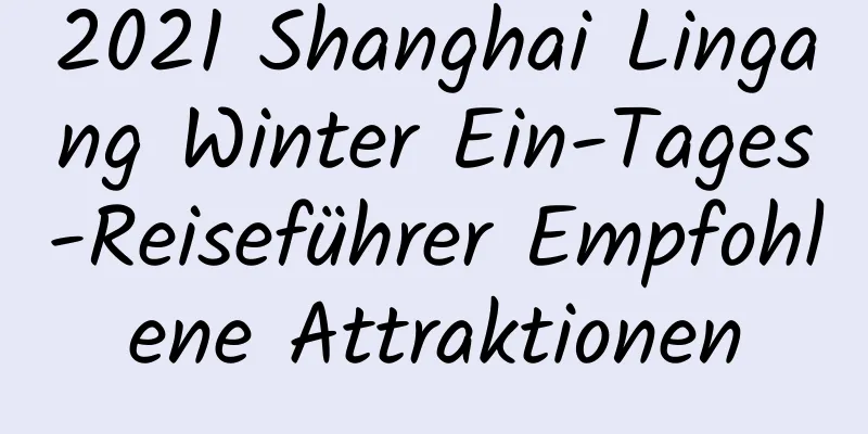 2021 Shanghai Lingang Winter Ein-Tages-Reiseführer Empfohlene Attraktionen