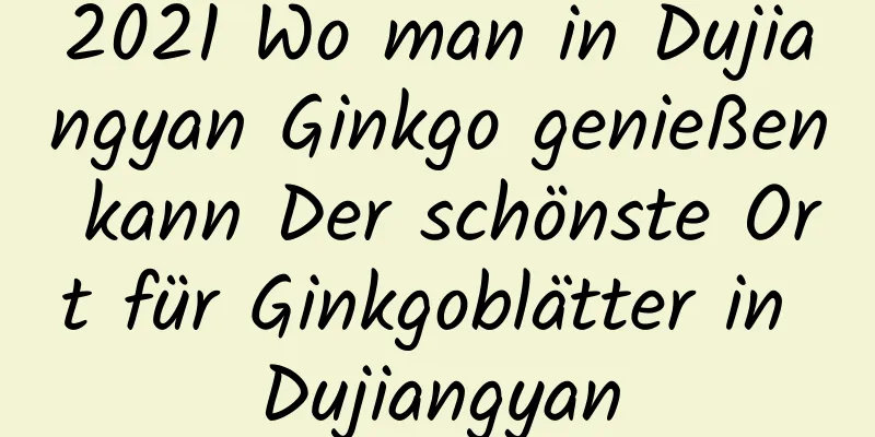 2021 Wo man in Dujiangyan Ginkgo genießen kann Der schönste Ort für Ginkgoblätter in Dujiangyan