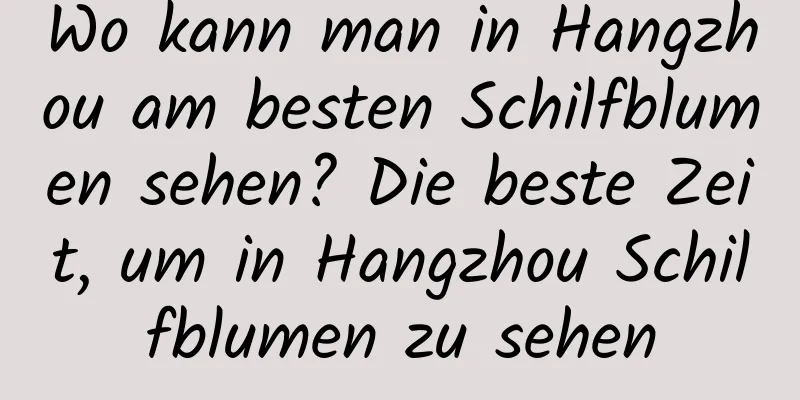 Wo kann man in Hangzhou am besten Schilfblumen sehen? Die beste Zeit, um in Hangzhou Schilfblumen zu sehen