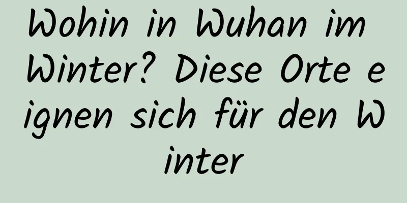 Wohin in Wuhan im Winter? Diese Orte eignen sich für den Winter