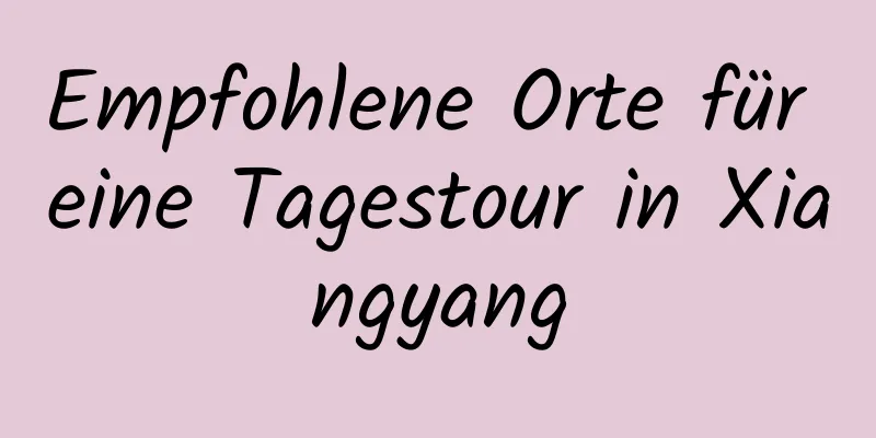 Empfohlene Orte für eine Tagestour in Xiangyang