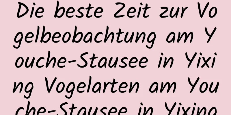 Die beste Zeit zur Vogelbeobachtung am Youche-Stausee in Yixing Vogelarten am Youche-Stausee in Yixing