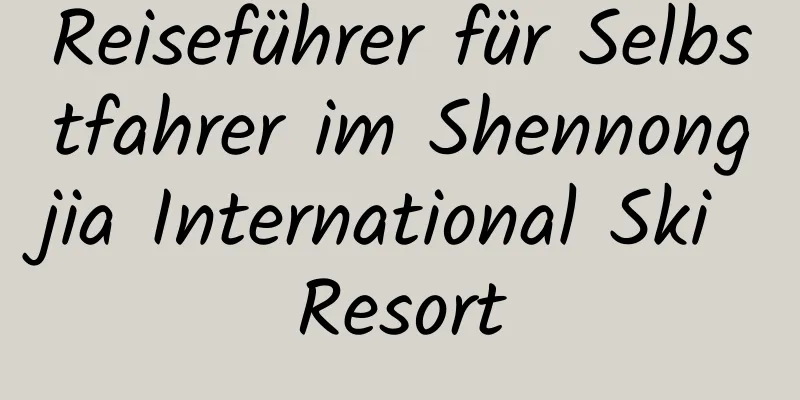 Reiseführer für Selbstfahrer im Shennongjia International Ski Resort