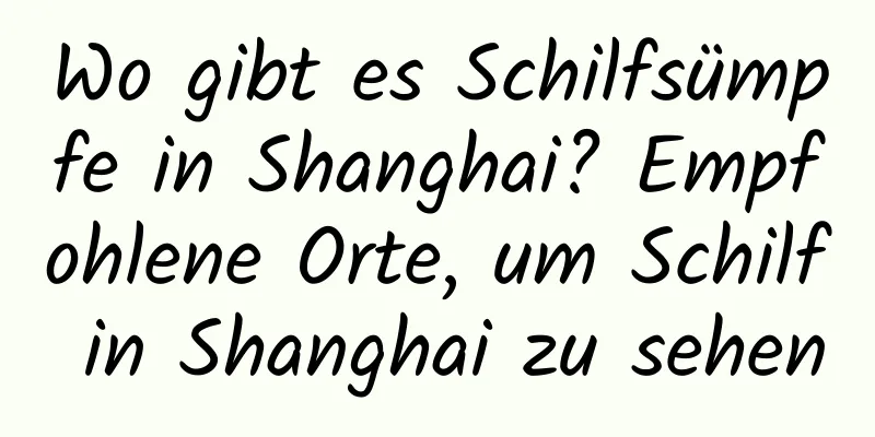 Wo gibt es Schilfsümpfe in Shanghai? Empfohlene Orte, um Schilf in Shanghai zu sehen