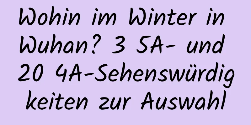 Wohin im Winter in Wuhan? 3 5A- und 20 4A-Sehenswürdigkeiten zur Auswahl