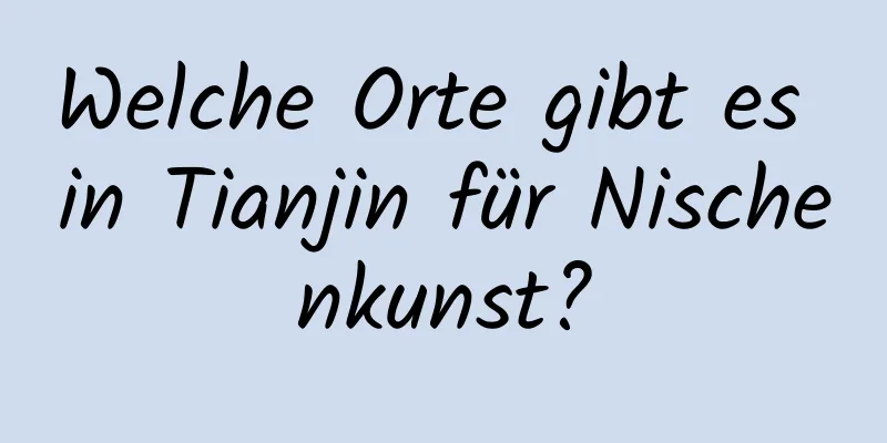 Welche Orte gibt es in Tianjin für Nischenkunst?