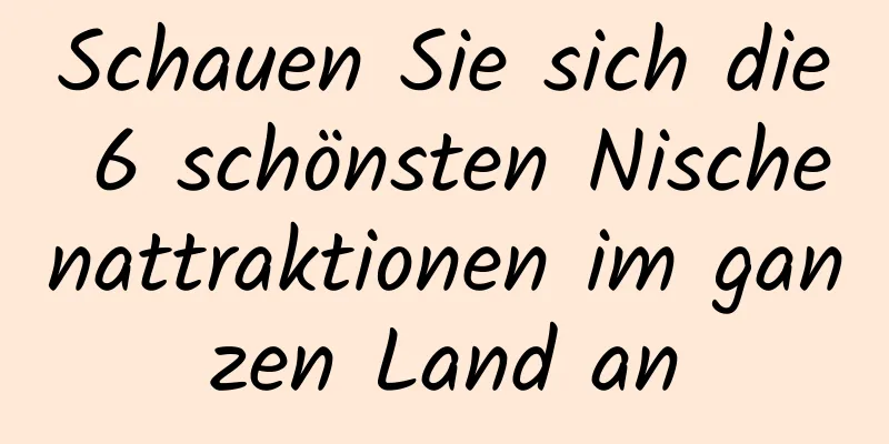 Schauen Sie sich die 6 schönsten Nischenattraktionen im ganzen Land an