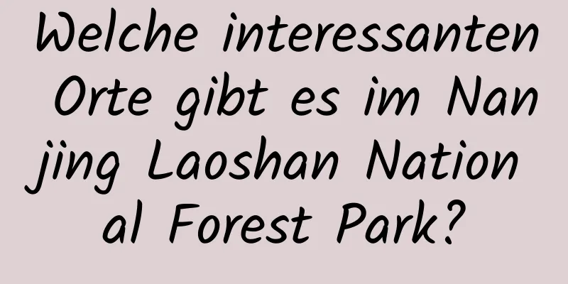 Welche interessanten Orte gibt es im Nanjing Laoshan National Forest Park?