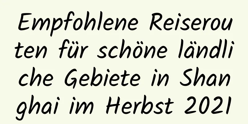 Empfohlene Reiserouten für schöne ländliche Gebiete in Shanghai im Herbst 2021