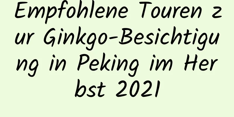 Empfohlene Touren zur Ginkgo-Besichtigung in Peking im Herbst 2021