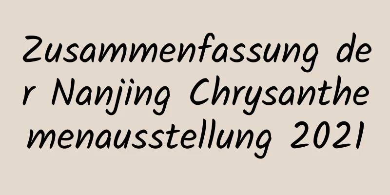 Zusammenfassung der Nanjing Chrysanthemenausstellung 2021