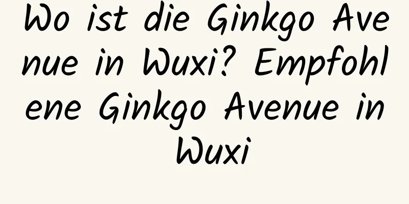 Wo ist die Ginkgo Avenue in Wuxi? Empfohlene Ginkgo Avenue in Wuxi