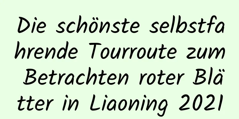 Die schönste selbstfahrende Tourroute zum Betrachten roter Blätter in Liaoning 2021