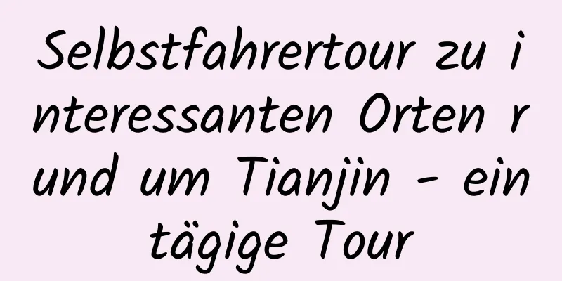 Selbstfahrertour zu interessanten Orten rund um Tianjin - eintägige Tour