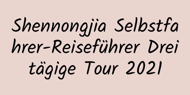 Shennongjia Selbstfahrer-Reiseführer Dreitägige Tour 2021