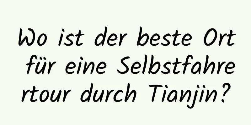 Wo ist der beste Ort für eine Selbstfahrertour durch Tianjin?