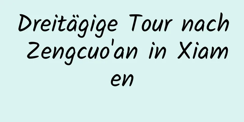 Dreitägige Tour nach Zengcuo'an in Xiamen