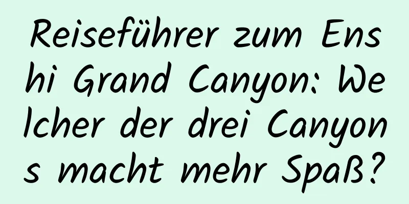 Reiseführer zum Enshi Grand Canyon: Welcher der drei Canyons macht mehr Spaß?