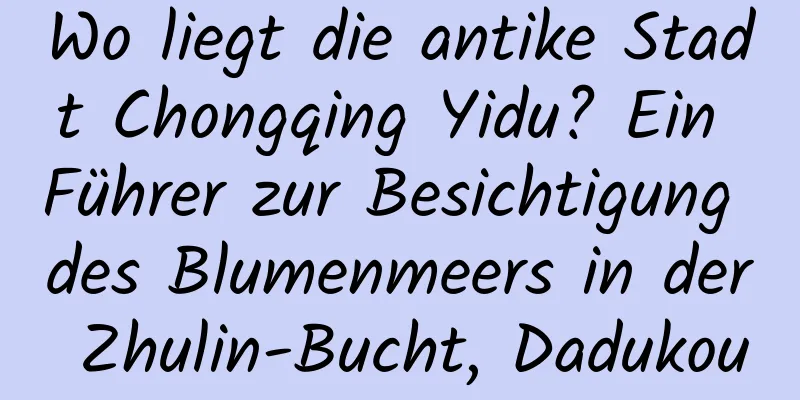 Wo liegt die antike Stadt Chongqing Yidu? Ein Führer zur Besichtigung des Blumenmeers in der Zhulin-Bucht, Dadukou