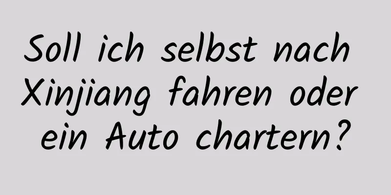 Soll ich selbst nach Xinjiang fahren oder ein Auto chartern?