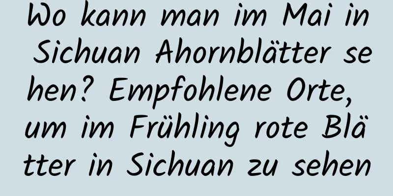 Wo kann man im Mai in Sichuan Ahornblätter sehen? Empfohlene Orte, um im Frühling rote Blätter in Sichuan zu sehen