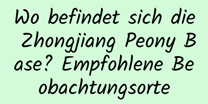 Wo befindet sich die Zhongjiang Peony Base? Empfohlene Beobachtungsorte